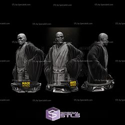 Mace Windu Bust Star Wars 3D Models