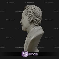 Nicolas Cage Bust 3D Model