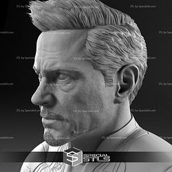 Robert Downey Jr Tony Stark Iron Man Bust 3D Model