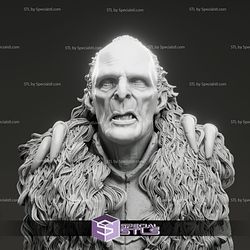 Stephen Ure Grishnakh The Lord of the Rings Bust 3D Model