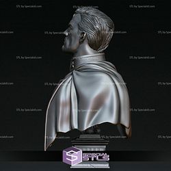 Superman Red Son Bust 3D Printing Figurine