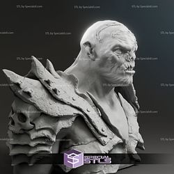 Lawrence Makoare Bolg The Hobbit Bust 3D Printing Figurine