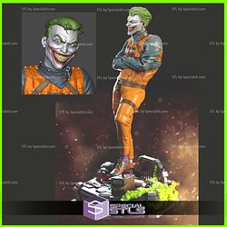 Joker Arkham Asylum from DC