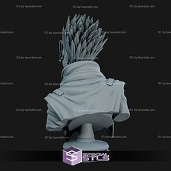 Vash Stampede Trigun Bust 3D Printing Figurine