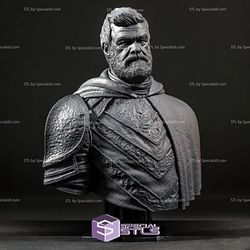 Baylan Skoll Bust 3D Printing Figurine
