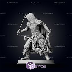 Darth Revan Basic in Battle Pose 1 Ready to 3D Print