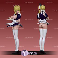Fate maid Cafe NSFW Fanart Ready to 3D Print