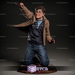 Harry Potter in Battle 3D Model