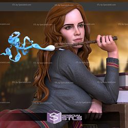 Hermione Adult Version Bookshelf 3D Printing Figurine