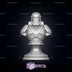 Republic Commando Bust Ready to 3D Print