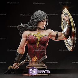 Wonder Woman Warrior in Battle Bust 3D Printing Figurine