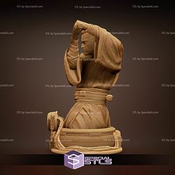 Young Obi Wan Kenobi Bust 3D Printing Figurine