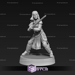 December 2023 Anvilrage Studios Miniatures