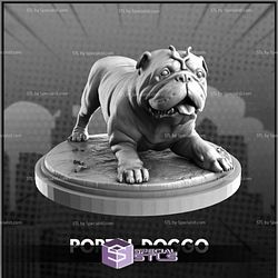 December 2023 C27 Collectibles Miniatures