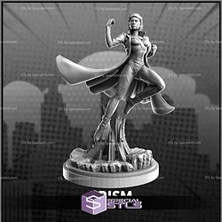 December 2023 C27 Collectibles Miniatures