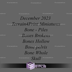 December 2023 Terrain4Print Miniatures